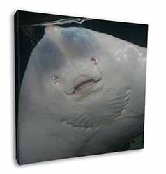 The Face of a Cute Stingray Square Canvas 12"x12" Wall Art Picture Print