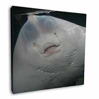 The Face of a Cute Stingray Square Canvas 12"x12" Wall Art Picture Print