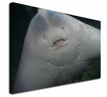 The Face of a Cute Stingray Canvas X-Large 30"x20" Wall Art Print