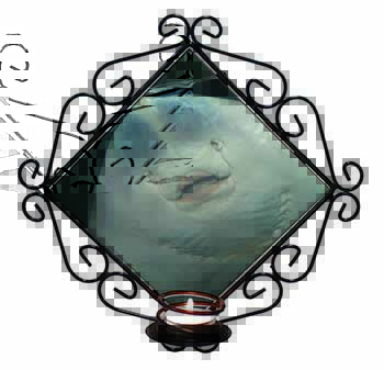 The Face of a Cute Stingray Wrought Iron Wall Art Candle Holder