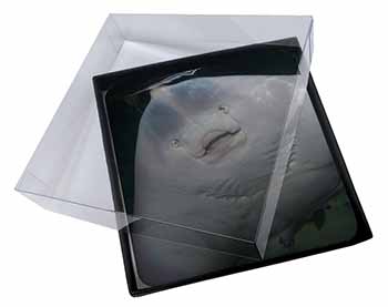 4x The Face of a Cute Stingray Picture Table Coasters Set in Gift Box