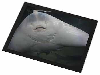 The Face of a Cute Stingray Black Rim High Quality Glass Placemat