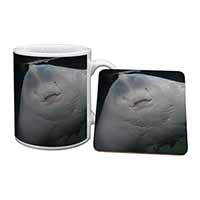 The Face of a Cute Stingray Mug and Coaster Set