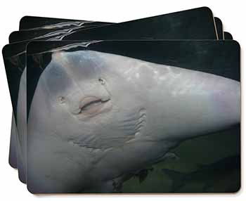 The Face of a Cute Stingray Picture Placemats in Gift Box
