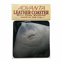 The Face of a Cute Stingray Single Leather Photo Coaster