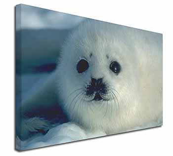 Snow White Sea Lion Canvas X-Large 30"x20" Wall Art Print