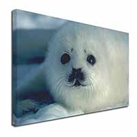 Snow White Sea Lion Canvas X-Large 30"x20" Wall Art Print