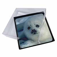 4x Snow White Sea Lion Picture Table Coasters Set in Gift Box