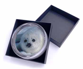 Snow White Sea Lion Glass Paperweight in Gift Box