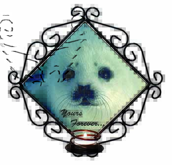 Snow Seal 