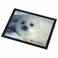 Snow Seal 