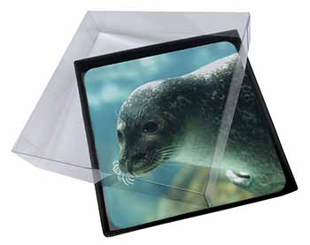 4x Sea Lion Picture Table Coasters Set in Gift Box