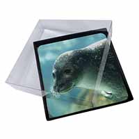 4x Sea Lion Picture Table Coasters Set in Gift Box