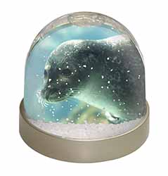 Sea Lion Snow Globe Photo Waterball