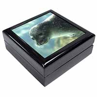 Sea Lion Keepsake/Jewellery Box