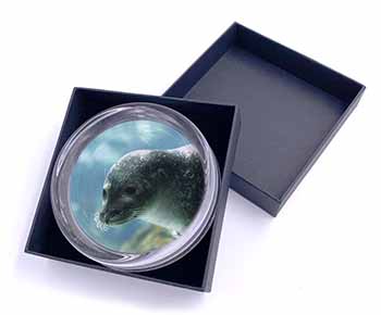 Sea Lion Glass Paperweight in Gift Box