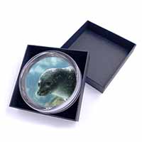 Sea Lion Glass Paperweight in Gift Box