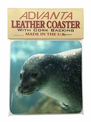 Sea Lion Single Leather Photo Coaster