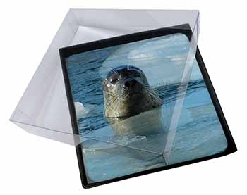 4x Sea Lion in Ice Water Picture Table Coasters Set in Gift Box