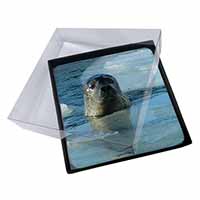 4x Sea Lion in Ice Water Picture Table Coasters Set in Gift Box