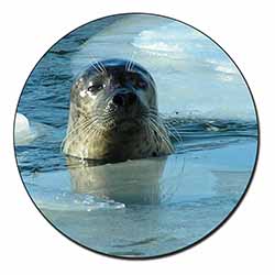 Sea Lion in Ice Water Fridge Magnet Printed Full Colour