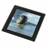 Sea Lion in Ice Water Black Rim High Quality Glass Coaster