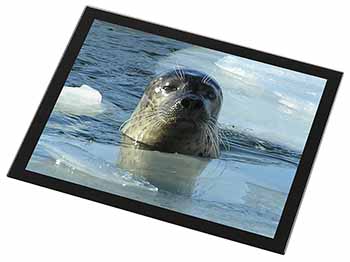 Sea Lion in Ice Water Black Rim High Quality Glass Placemat