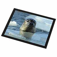 Sea Lion in Ice Water Black Rim High Quality Glass Placemat