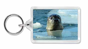 Sea Lion in Ice Water Photo Keyring printed full colour