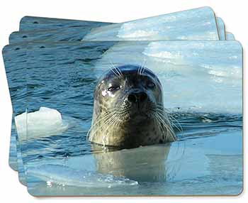 Sea Lion in Ice Water Picture Placemats in Gift Box