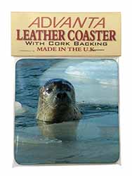 Sea Lion in Ice Water Single Leather Photo Coaster