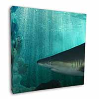 Shark Photo Square Canvas 12"x12" Wall Art Picture Print