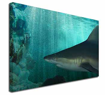 Shark Photo Canvas X-Large 30"x20" Wall Art Print