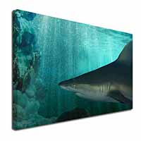 Shark Photo Canvas X-Large 30"x20" Wall Art Print