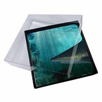 4x Shark Photo Picture Table Coasters Set in Gift Box