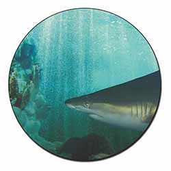 Shark Photo Fridge Magnet Printed Full Colour