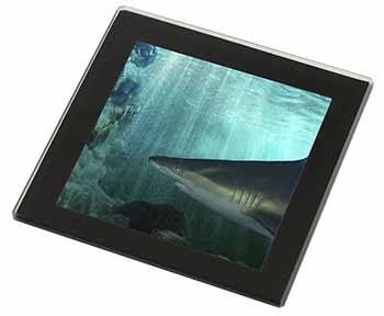 Shark Photo Black Rim High Quality Glass Coaster