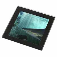 Shark Photo Black Rim High Quality Glass Coaster