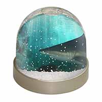 Shark Photo Snow Globe Photo Waterball