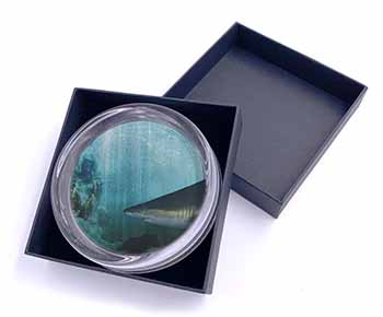 Shark Photo Glass Paperweight in Gift Box