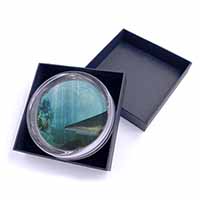 Shark Photo Glass Paperweight in Gift Box