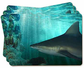 Shark Photo Picture Placemats in Gift Box