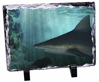 Shark Photo, Stunning Photo Slate