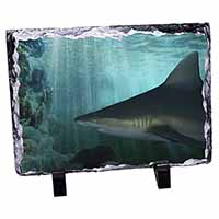 Shark Photo, Stunning Animal Photo Slate