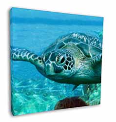 Turtle by Coral Square Canvas 12"x12" Wall Art Picture Print