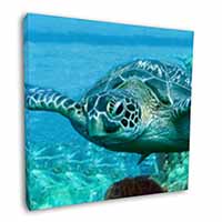 Turtle by Coral Square Canvas 12"x12" Wall Art Picture Print