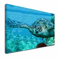 Turtle by Coral Canvas X-Large 30"x20" Wall Art Print