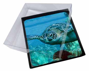 4x Turtle by Coral Picture Table Coasters Set in Gift Box