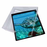 4x Turtle by Coral Picture Table Coasters Set in Gift Box