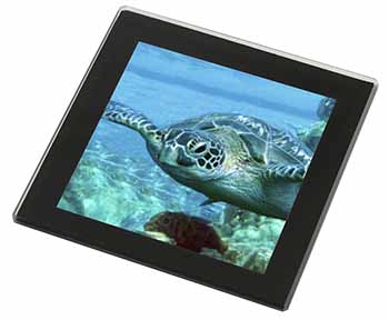 Turtle by Coral Black Rim High Quality Glass Coaster